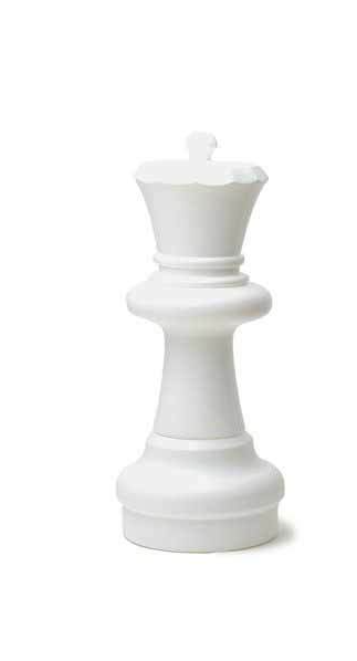 Indoor / Outdoor Garden Plastic Chess Individual Pieces (12