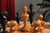 Hand Carved Luxury Wood Chess Pieces - The Anglo-Dutch Reproduction